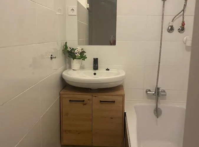 Andrea Vendeghaz Székesfehérvár